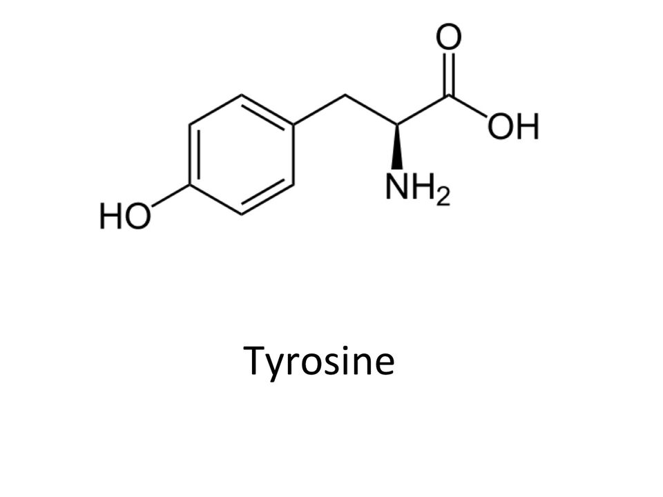 Tyrosin in ABSlim